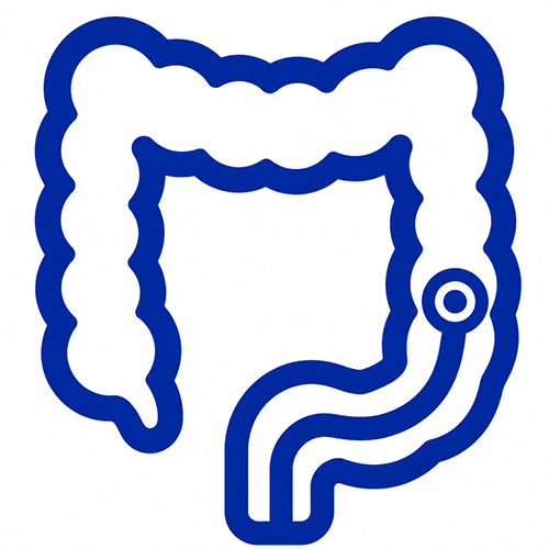 大腸カメラ